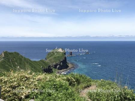 初夏の神威岬