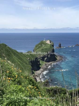 初夏の神威岬