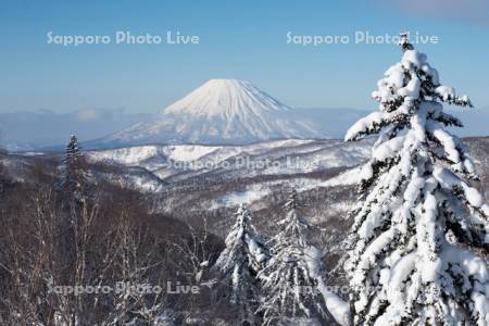 中山峠より羊蹄山