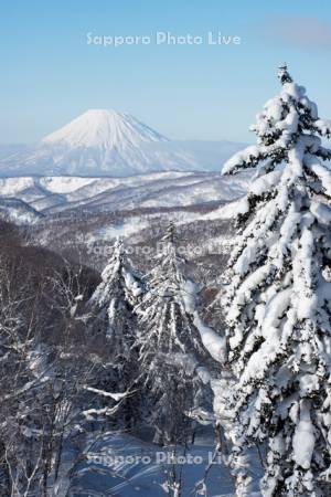 中山峠より羊蹄山