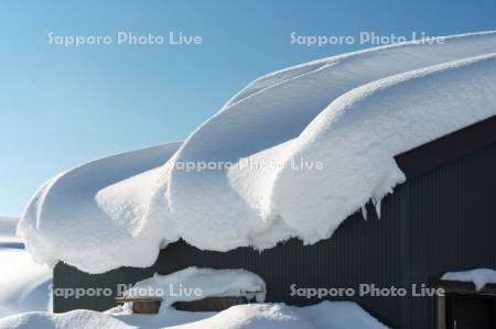 雪庇