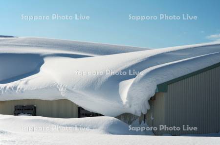 雪庇