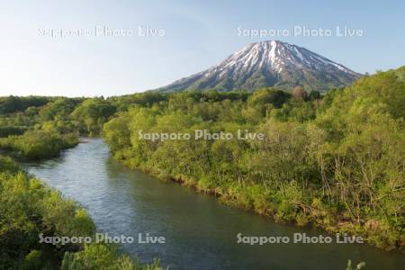 尻別川と羊蹄山