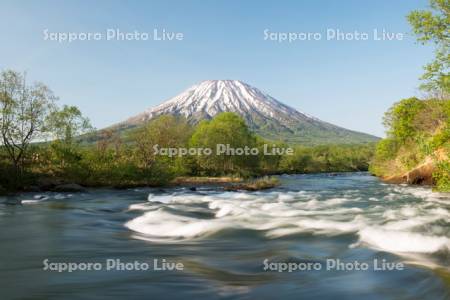 尻別川と羊蹄山