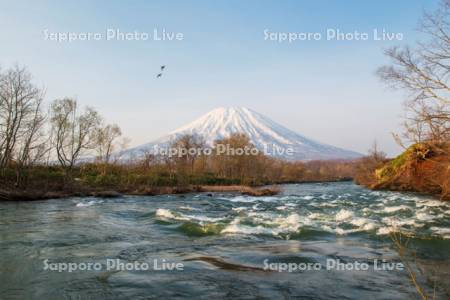 羊蹄山と尻別川