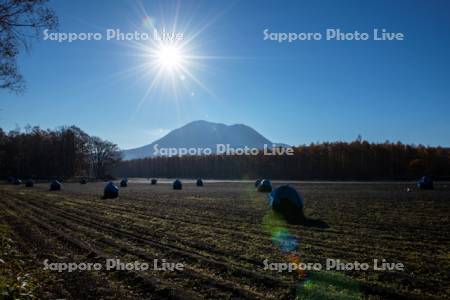 ニオのある風景