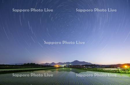 早苗の水田と周極星