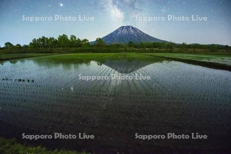 天の川と羊蹄山と水田