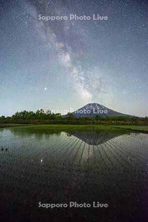 天の川と羊蹄山と水田