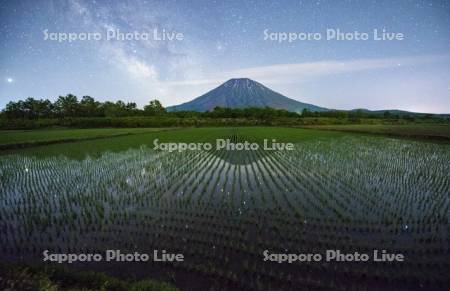 星が写る水田