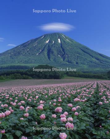 羊蹄山