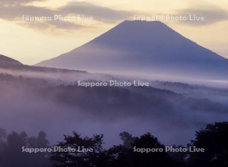 羊蹄山と朝霧の森