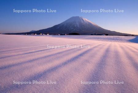 雪原と羊蹄山