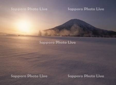 朝日と雪原と羊蹄山