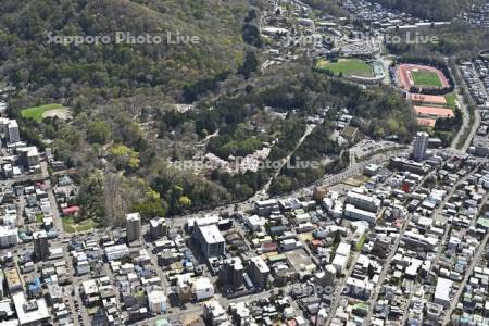 円山公園～北海道神宮～陸上競技場