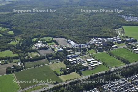 酪農学園大学～野幌森林公園
