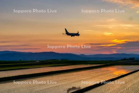 水田と飛行機