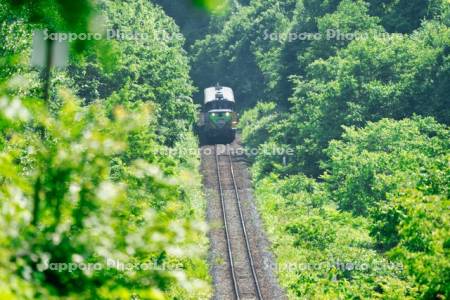 富良野・美瑛　ノロッコ号