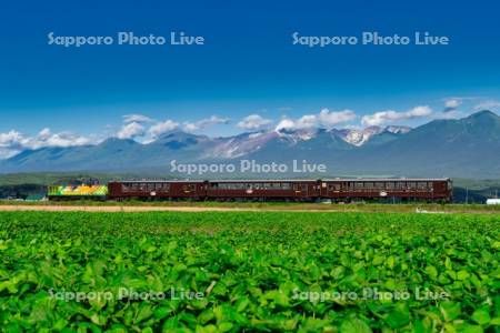 富良野・美瑛　ノロッコ号