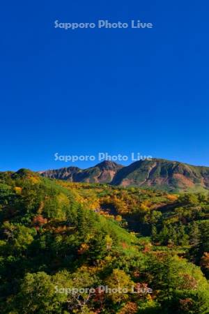 十勝岳温泉の紅葉