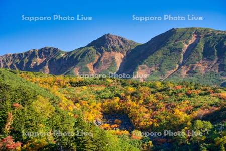 十勝岳温泉の紅葉
