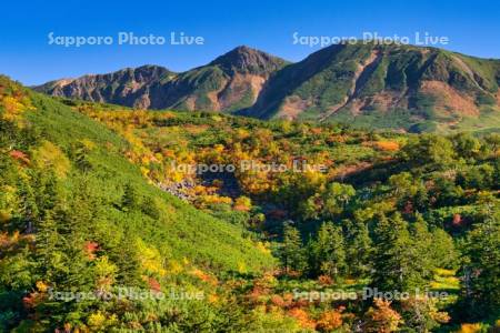 十勝岳温泉の紅葉