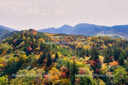 十勝岳温泉の紅葉