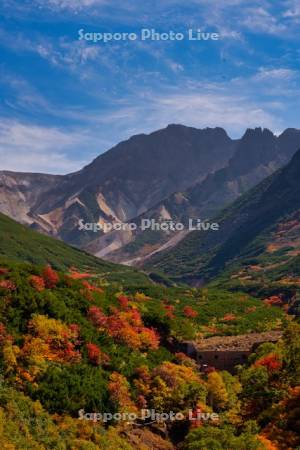 十勝岳温泉の紅葉