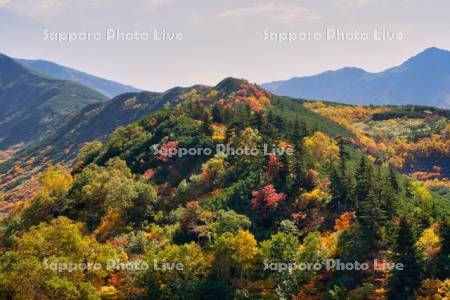 十勝岳温泉の紅葉