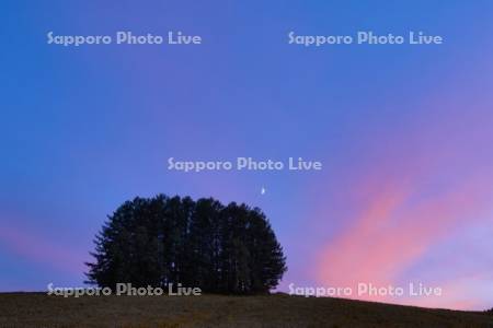 マイルドセブンの丘　月と夕日の照り返し