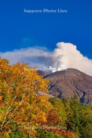 十勝岳の噴煙