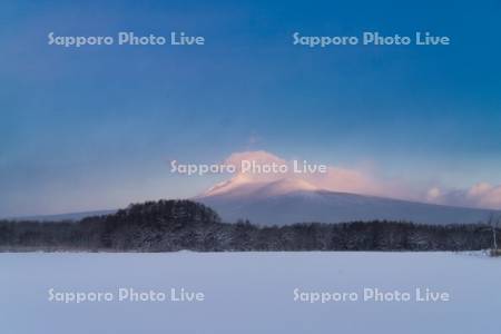 大沼と駒ヶ岳