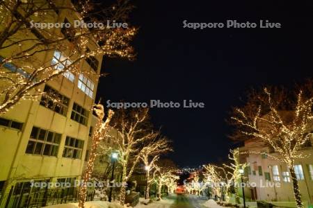 八幡坂　イルミネーション