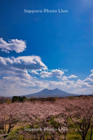 オニウシ公園から駒ヶ岳