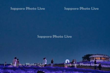 日の出公園ライトアップ