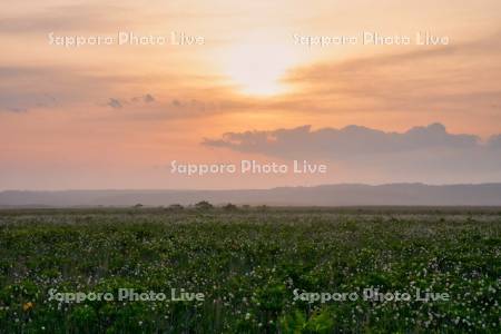 霧多布湿原の夕日