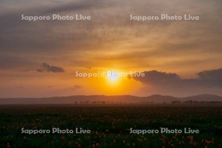 霧多布湿原の夕日