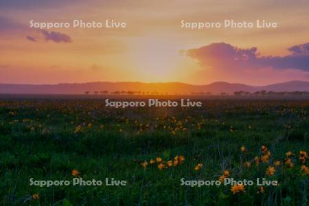 霧多布湿原の夕日