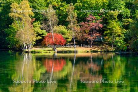 鳥沼公園