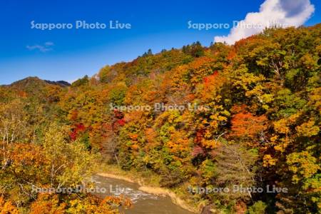 滝の上公園　夕張川と紅葉