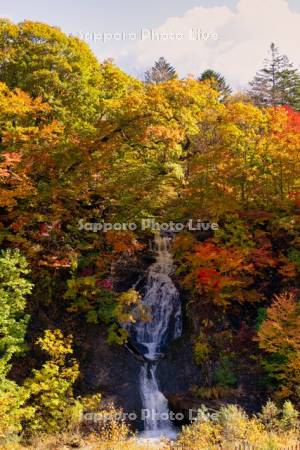 滝の上公園　滝と紅葉