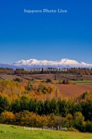 紅葉の丘と大雪山