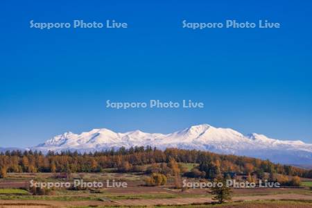 紅葉の丘と大雪山