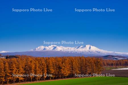 就実の丘より大雪山系