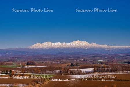 冠雪の畑と大雪山