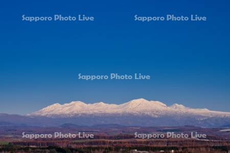 冠雪の畑と大雪山