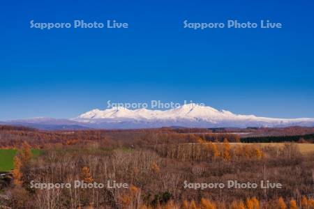 紅葉と大雪山