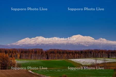 冠雪の畑と大雪山