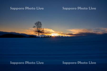 雪原の日の出