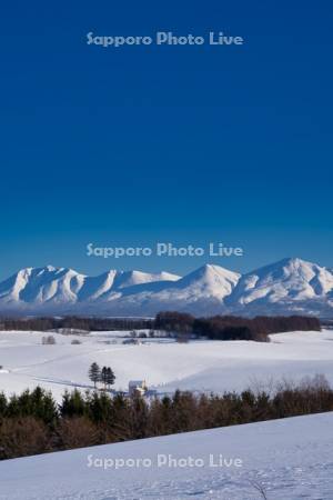 丘と十勝岳連峰